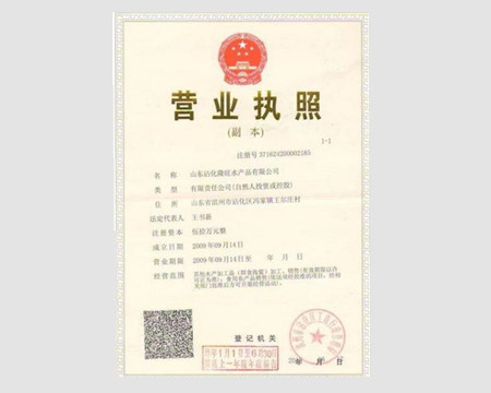 營(yíng)業(yè)執(zhí)照